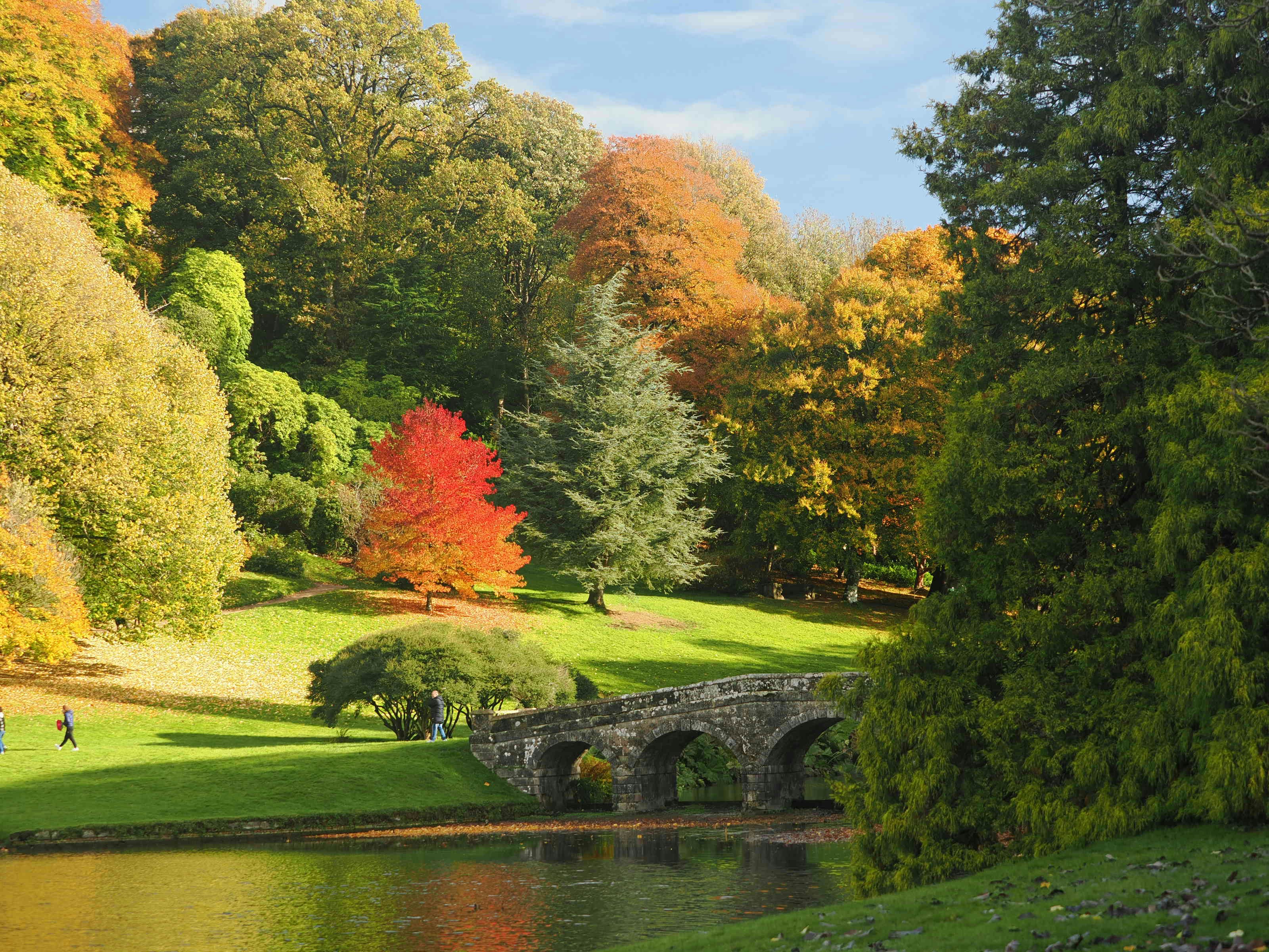 English countryside garden in autumn with stone bridge and lake